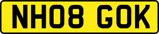 NH08GOK