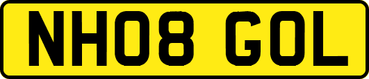 NH08GOL