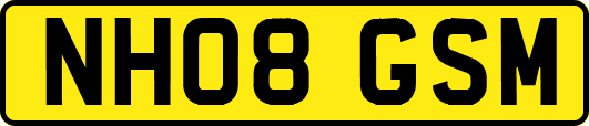 NH08GSM