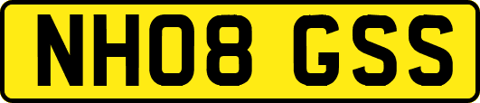 NH08GSS