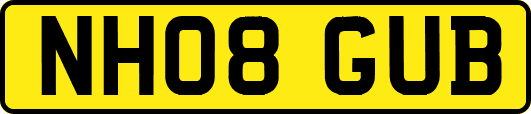 NH08GUB