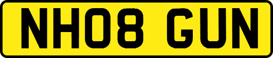 NH08GUN