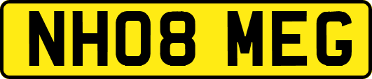 NH08MEG