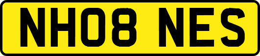 NH08NES