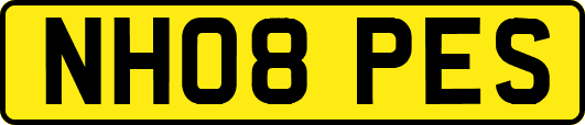 NH08PES