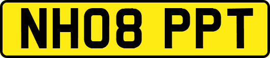 NH08PPT