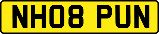 NH08PUN