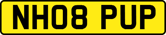 NH08PUP