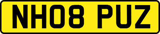 NH08PUZ