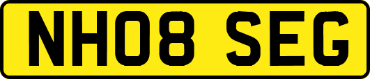 NH08SEG