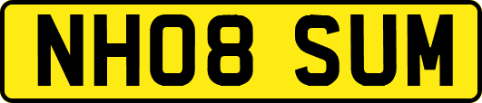 NH08SUM