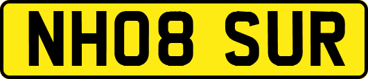 NH08SUR