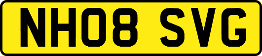 NH08SVG