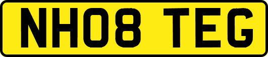 NH08TEG