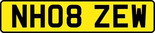 NH08ZEW