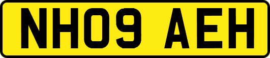 NH09AEH