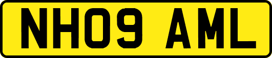 NH09AML