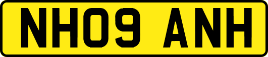 NH09ANH