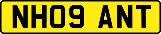 NH09ANT
