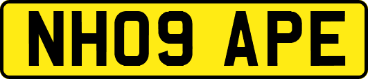 NH09APE