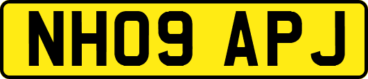 NH09APJ
