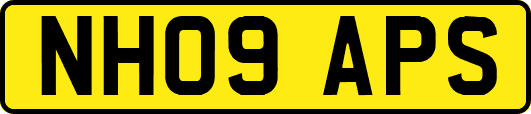 NH09APS
