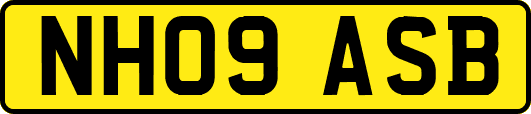 NH09ASB
