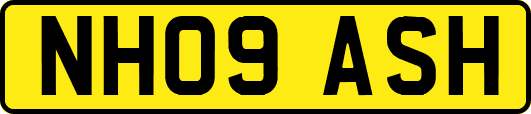 NH09ASH