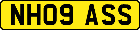 NH09ASS