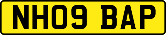 NH09BAP