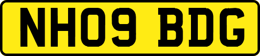 NH09BDG