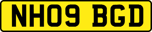 NH09BGD
