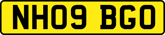 NH09BGO