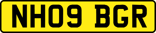 NH09BGR