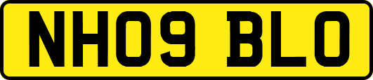 NH09BLO