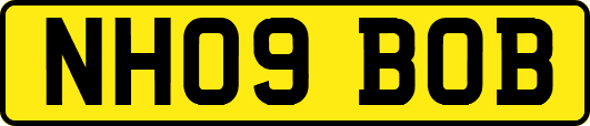 NH09BOB