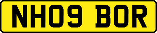 NH09BOR