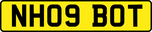 NH09BOT
