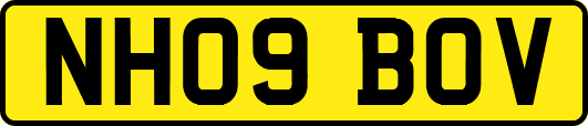 NH09BOV