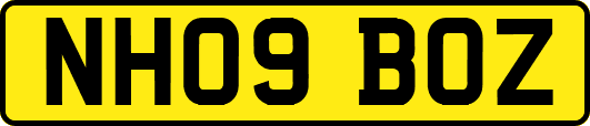 NH09BOZ