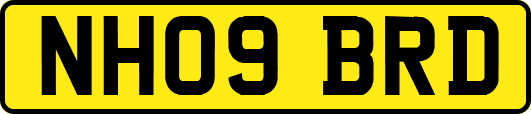 NH09BRD