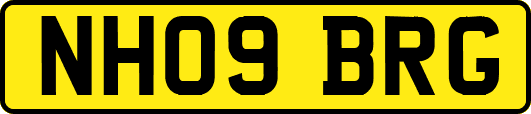 NH09BRG