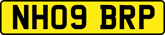 NH09BRP