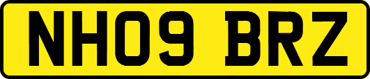 NH09BRZ