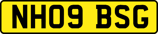 NH09BSG
