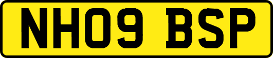 NH09BSP