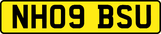 NH09BSU