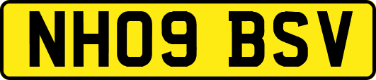 NH09BSV