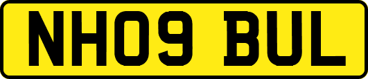 NH09BUL