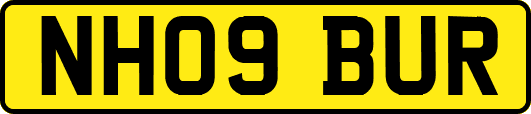 NH09BUR